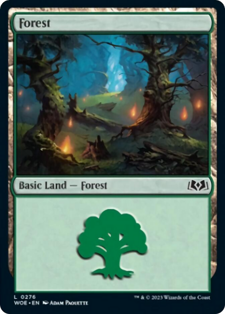 Forest (0276) [Wilds of Eldraine] | Event Horizon Hobbies CA