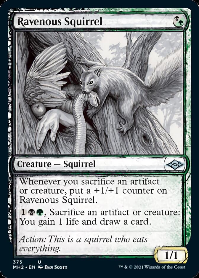 Ravenous Squirrel (Sketch) [Modern Horizons 2] | Event Horizon Hobbies CA