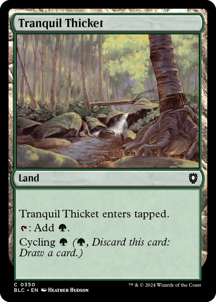 Tranquil Thicket [Bloomburrow Commander] | Event Horizon Hobbies CA