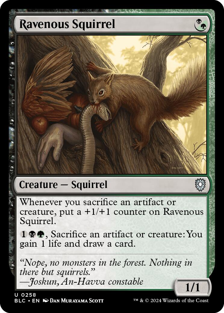 Ravenous Squirrel [Bloomburrow Commander] | Event Horizon Hobbies CA