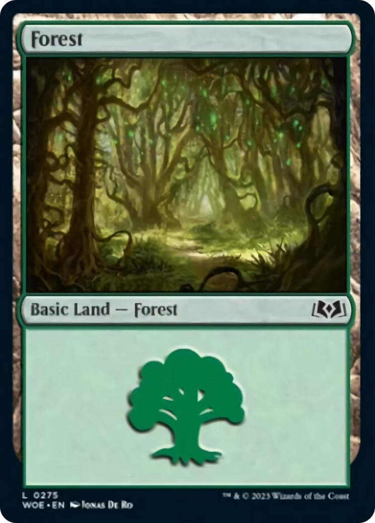 Forest (0275) [Wilds of Eldraine] | Event Horizon Hobbies CA