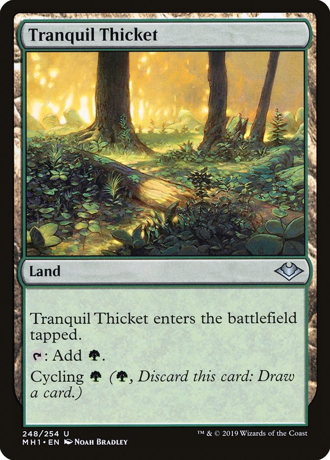 Tranquil Thicket [Modern Horizons] | Event Horizon Hobbies CA