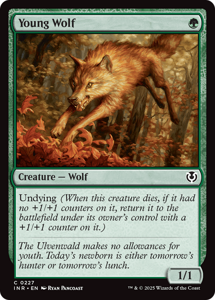 Young Wolf [Innistrad Remastered] | Event Horizon Hobbies CA