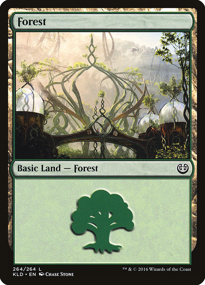 Forest (264) [Kaladesh] | Event Horizon Hobbies CA