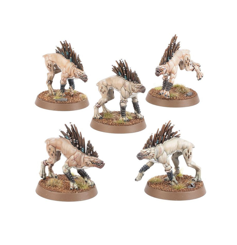 40K - T'au Empire - Kroot Hounds