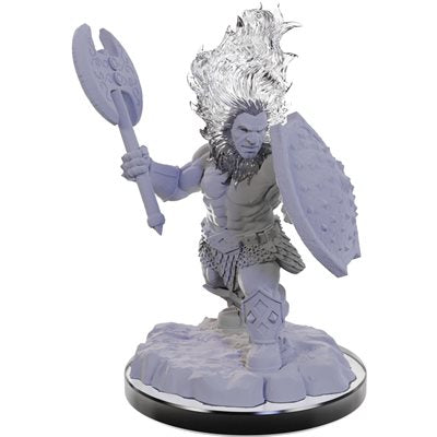 Wizkids - Nolzur's Marvelous Miniatures Wave 22