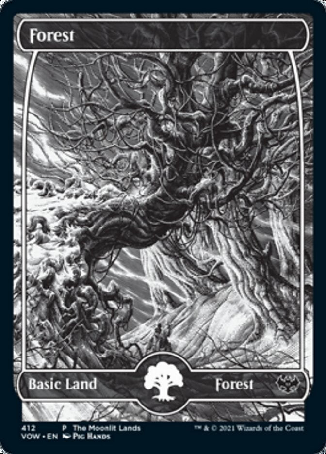 Forest (The Moonlit Lands) (Foil Etched) [Innistrad: Crimson Vow Promos] | Event Horizon Hobbies CA