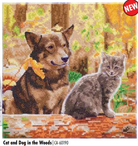 Craft Buddy - Diamond Painting - Cat & Dog in the Woods | Event Horizon Hobbies CA