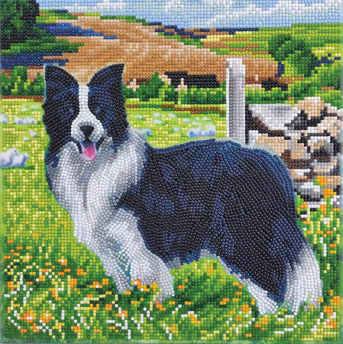 Craft Buddy - Diamond Painting - Pup in the Field