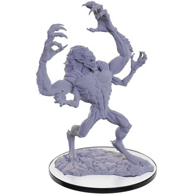 Wizkids - Nolzur's Marvelous Miniatures Wave 22