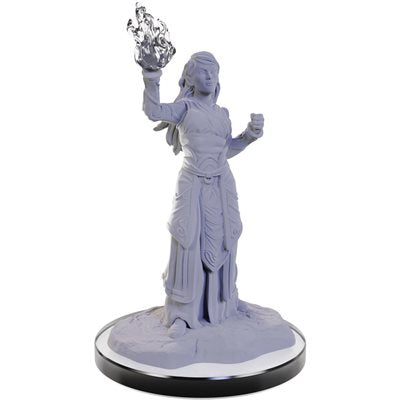 Wizkids - Nolzur's Marvelous Miniatures Wave 22