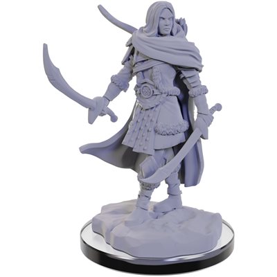 Wizkids - Nolzur's Marvelous Miniatures Wave 22