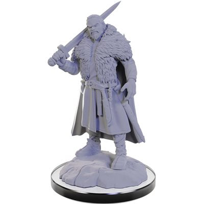 Wizkids - Nolzur's Marvelous Miniatures Wave 22