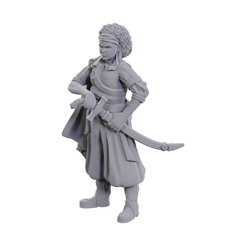 Wizkids - D&D Nolzurs Marvelous Miniatures - Wave 23