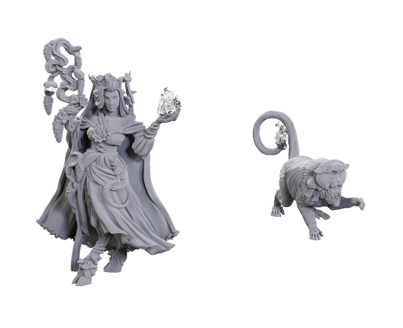 Wizkids - Critical Role - Wave 23