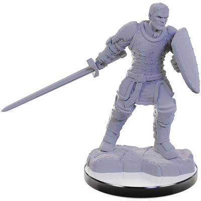 Wizkids - Nolzur's Marvelous Miniatures Wave 22