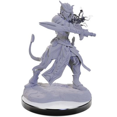 Wizkids - Nolzur's Marvelous Miniatures Wave 22