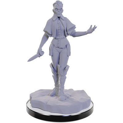 Wizkids - Nolzur's Marvelous Miniatures Wave 22