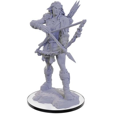 Wizkids - Nolzur's Marvelous Miniatures Wave 22