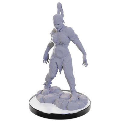 Wizkids - Nolzur's Marvelous Miniatures Wave 22