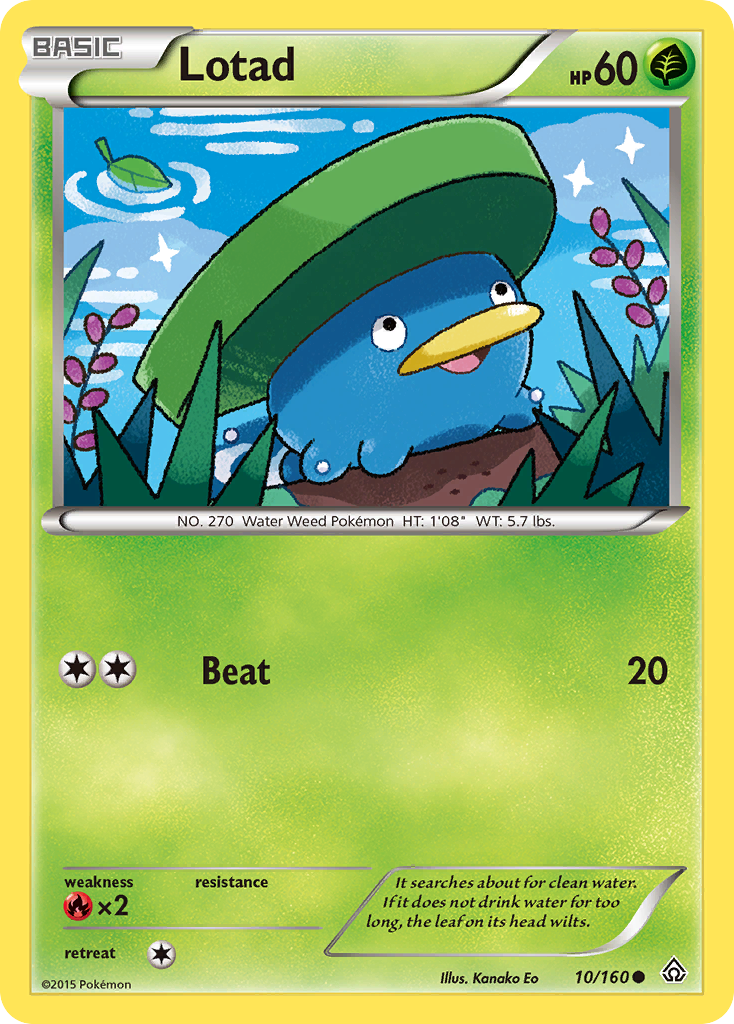 Lotad (10/160) [XY: Primal Clash] | Event Horizon Hobbies CA