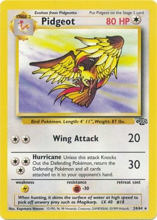 Pidgeot (24/64) [Jungle Unlimited] | Event Horizon Hobbies CA