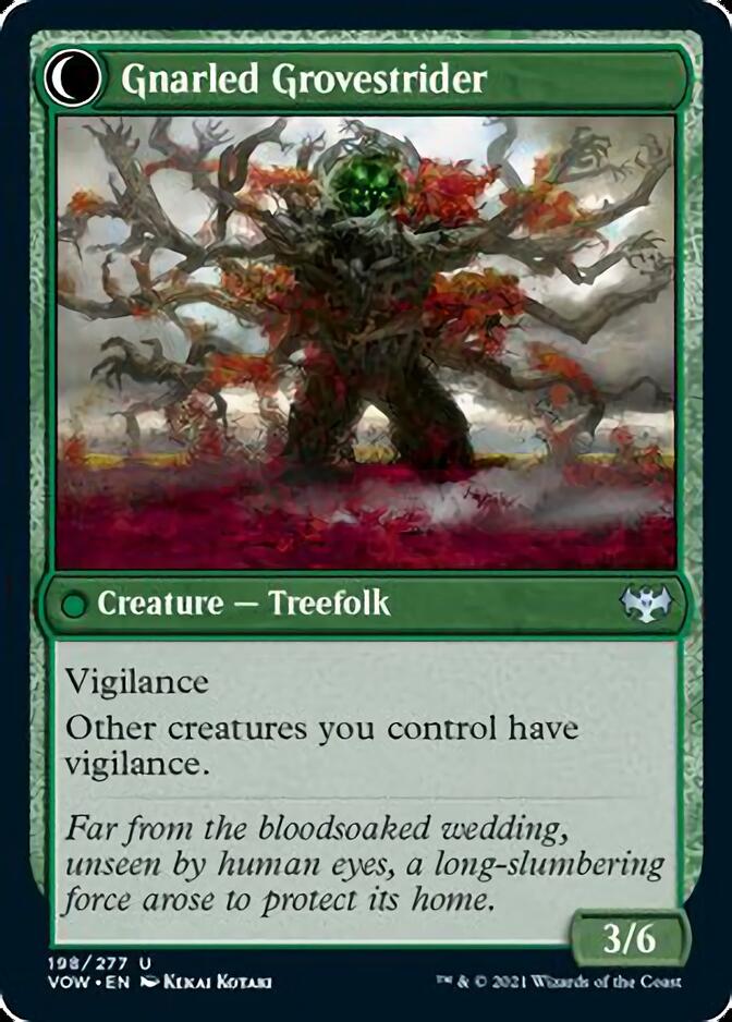 Dormant Grove // Gnarled Grovestrider [Innistrad: Crimson Vow] | Event Horizon Hobbies CA