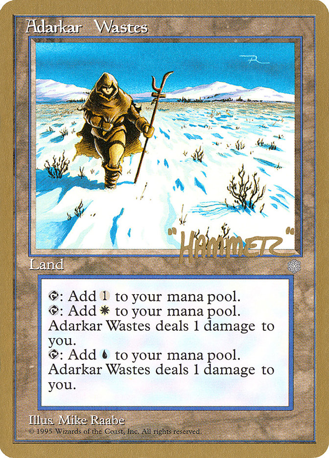 Adarkar Wastes (Shawn "Hammer" Regnier) [Pro Tour Collector Set] | Event Horizon Hobbies CA