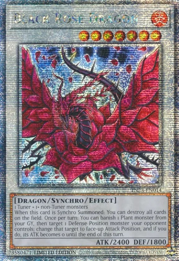 Black Rose Dragon [TN23-EN014] Quarter Century Secret Rare | Event Horizon Hobbies CA