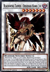 Blackwing Tamer - Obsidian Hawk Joe [LDS2-EN042] Common | Event Horizon Hobbies CA