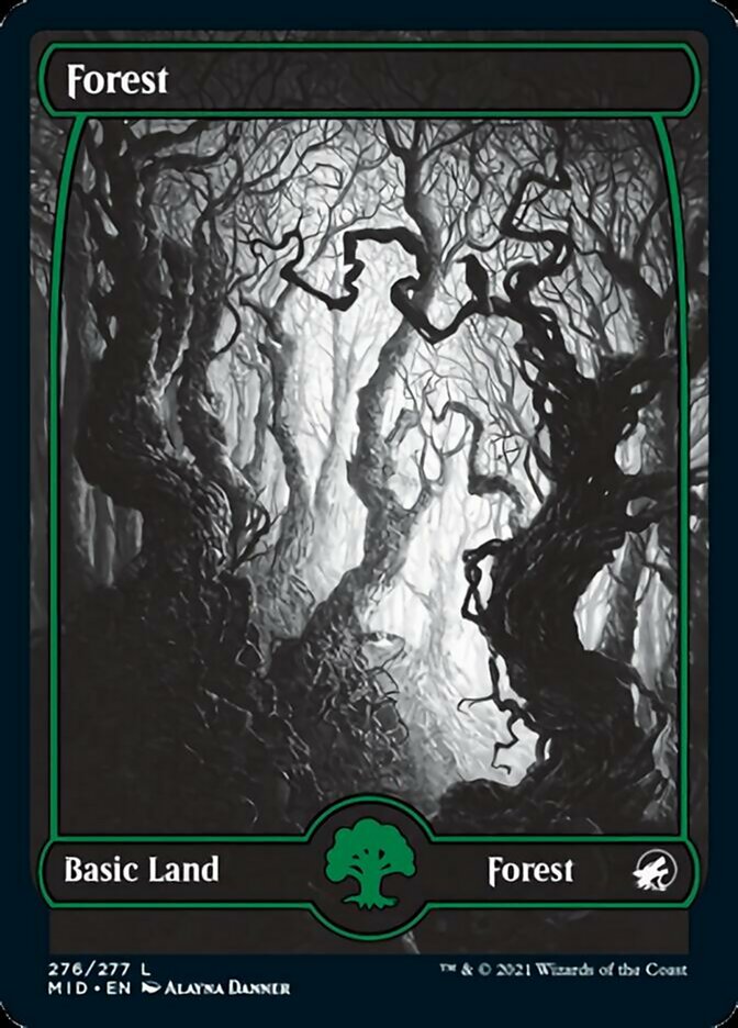 Forest (276) [Innistrad: Midnight Hunt] | Event Horizon Hobbies CA