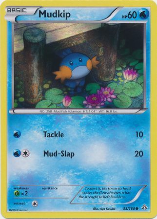 Mudkip (33/160) (Sheen Holo) [XY: Primal Clash] | Event Horizon Hobbies CA