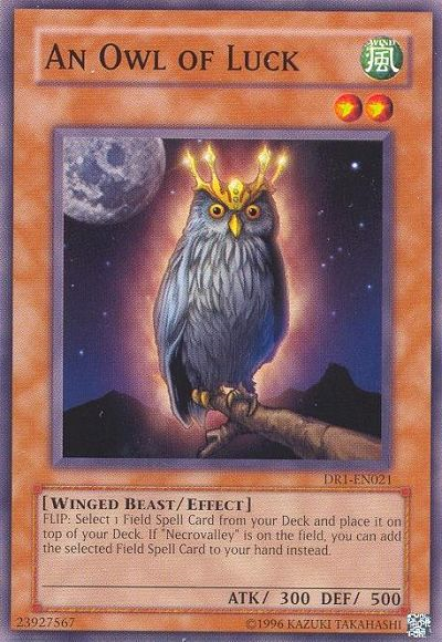 An Owl of Luck [DR1-EN021] Common | Event Horizon Hobbies CA