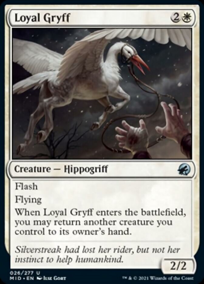 Loyal Gryff [Innistrad: Midnight Hunt] | Event Horizon Hobbies CA