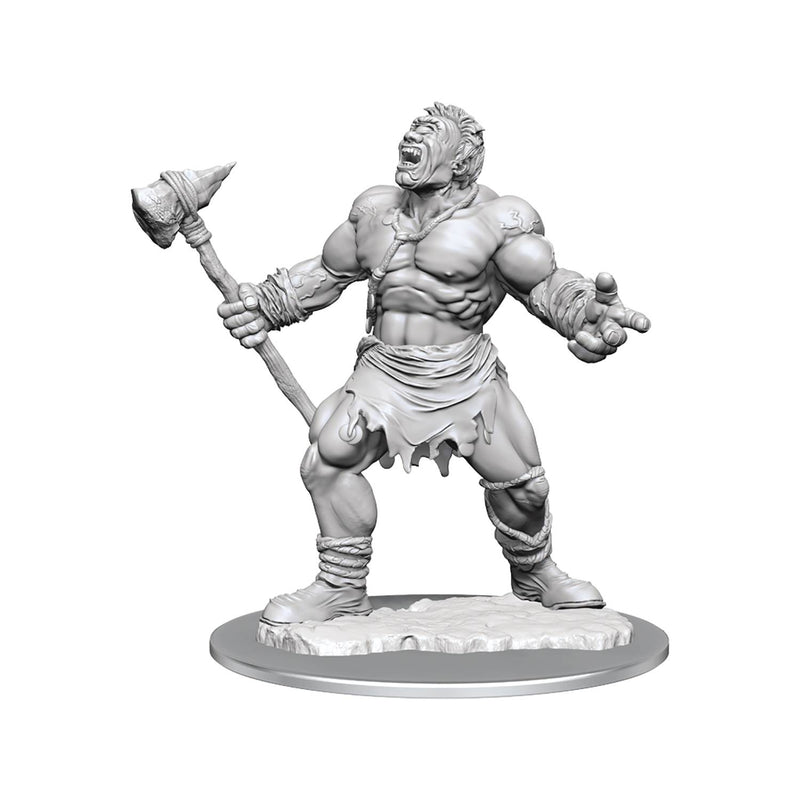 Wizkids - Nolzur's Marvelous Miniatures Wave 16