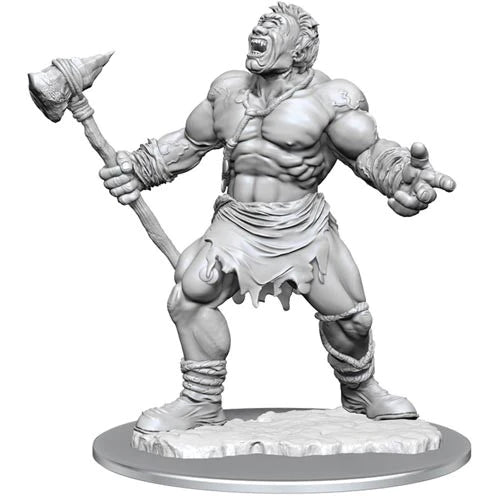 Wizkids - Nolzur's Marvelous Miniatures - Large