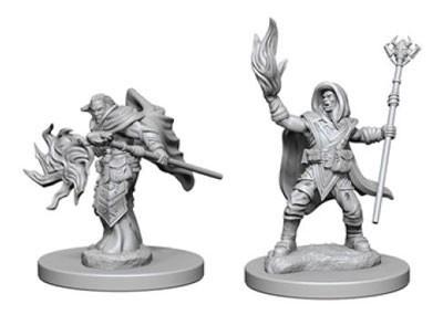 Wizkids - Nolzur's Marvelous Miniatures - HD Mini