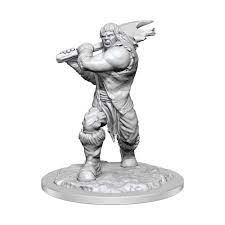 Wizkids - Nolzur's Marvelous Miniatures Wave 16