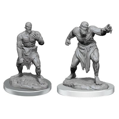 Wizkids - Nolzur's Marvelous Miniatures Wave 17