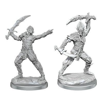 Wizkids - Nolzur's Marvelous Miniatures Wave 17