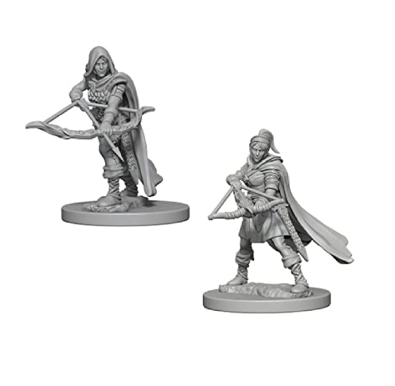 Wizkids - Nolzur's Marvelous Miniatures