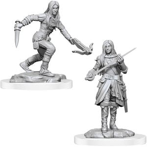 Wizkids - Nolzur's Marvelous Miniatures Wave 17