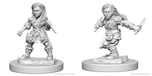 Wizkids - Nolzur's Marvelous Miniatures - HD Mini