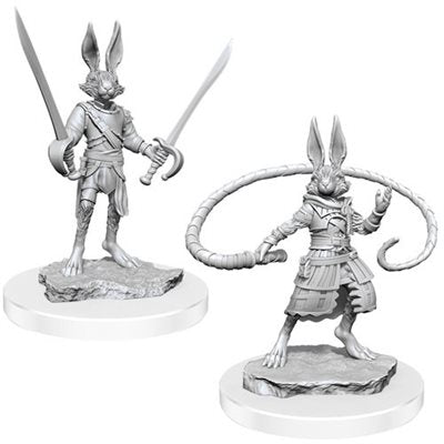 Wizkids - Nolzur's Marvelous Miniatures Wave 17