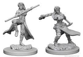 Wizkids - Nolzur's Marvelous Miniatures Wave 20