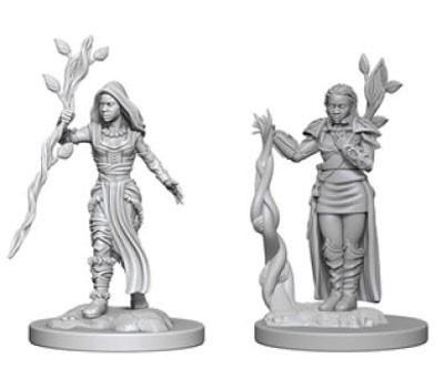 Wizkids - Nolzur's Marvelous Miniatures - HD Mini