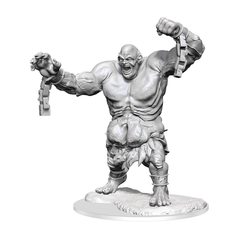 Wizkids - Nolzur's Marvelous Miniatures Wave 16