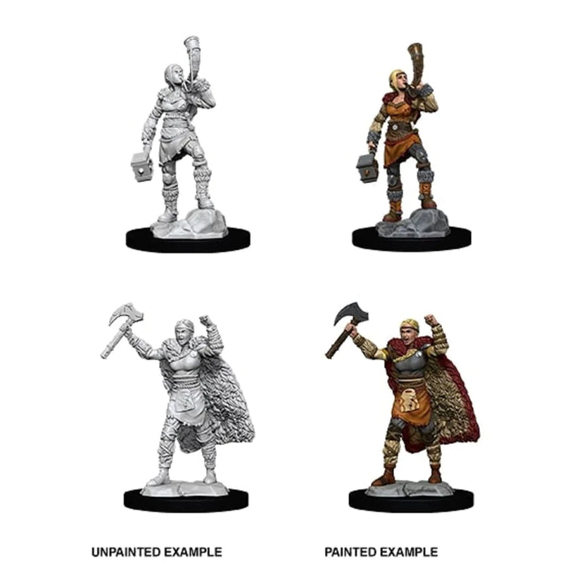 Wizkids - Nolzur's Marvelous Miniatures