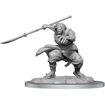 Wizkids - Nolzur's Marvelous Miniatures Wave 17