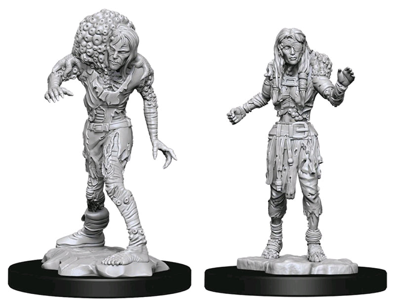 Wizkids - Nolzur's Marvelous Miniatures